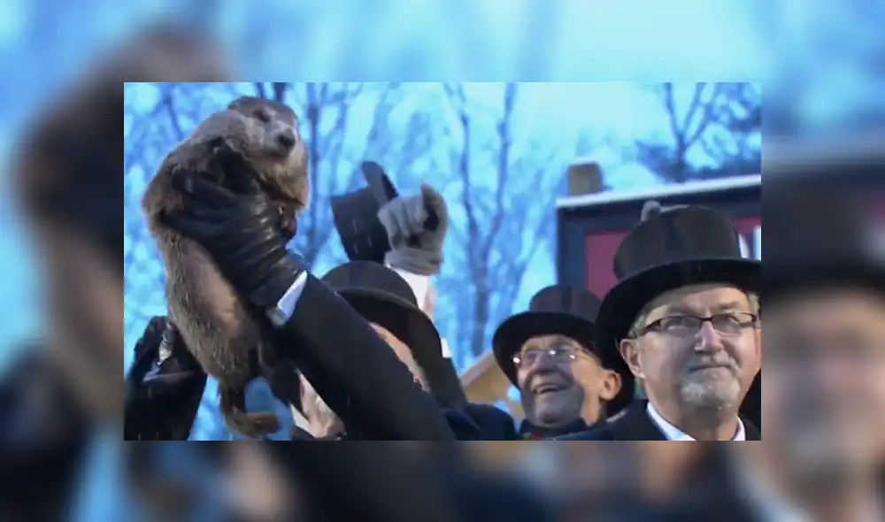 En Pensilvania se celebra todos los años el Día de la Marmota, evento que reúne bastante gente desde 1887.