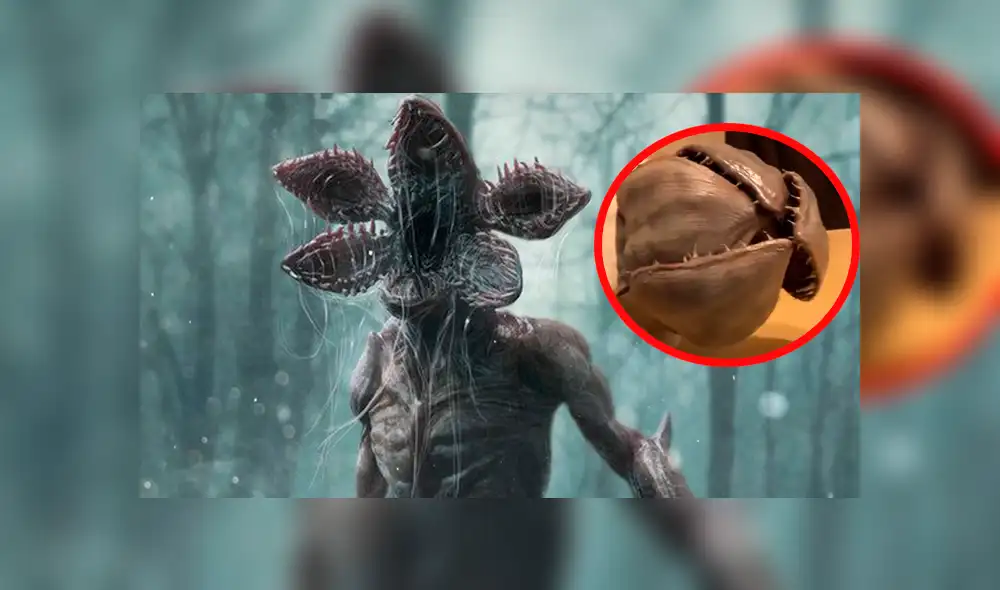 Facebook: 'Gato Demogorgon' enloquece a fanáticos de Stranger Things por su apariencia [VIDEO]