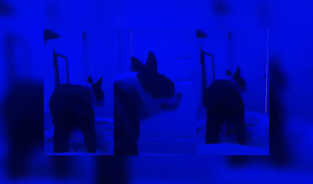 Desliza las imágenes para ver más detalles de esta tierna escena que ya es viral en Facebook.