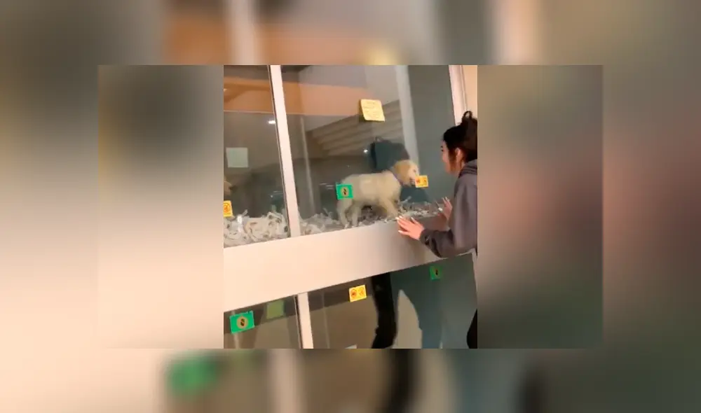 Desliza para ver todas las imágenes de Facebook. Foto: captura Desliza para ver todas las imágenes de Facebook. Foto: captura