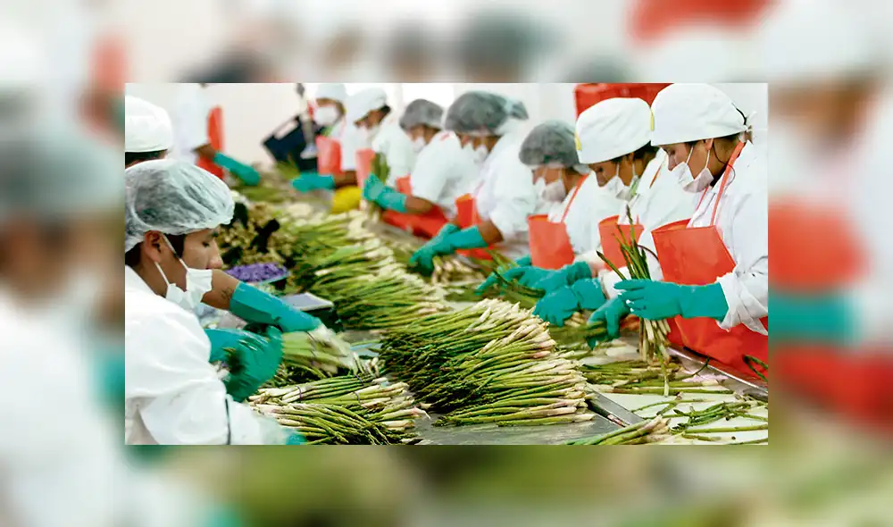 agricultura agricultura