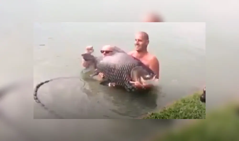 Desliza hacia la izquierda para ver el momento en que los turistas son atacados por el gigantesco pez, escena que es viral en Facebook. Desliza hacia la izquierda para ver el momento en que los turistas son atacados por el gigantesco pez, escena que es viral en Facebook.