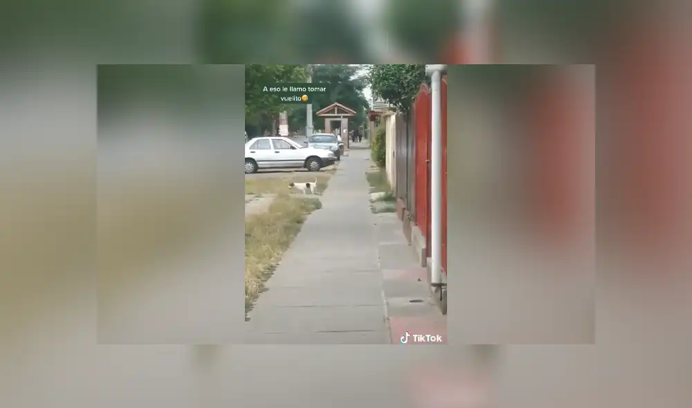 Desliza hacia la izquierda para ver las imágenes del viral de Facebook. Foto: Captura.