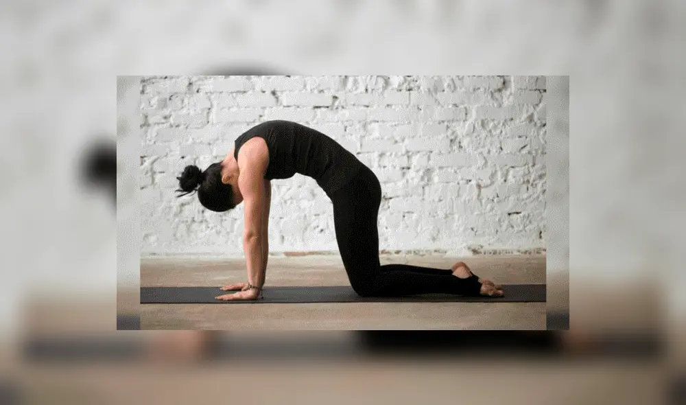 Ejercicios para crecer: el gato.