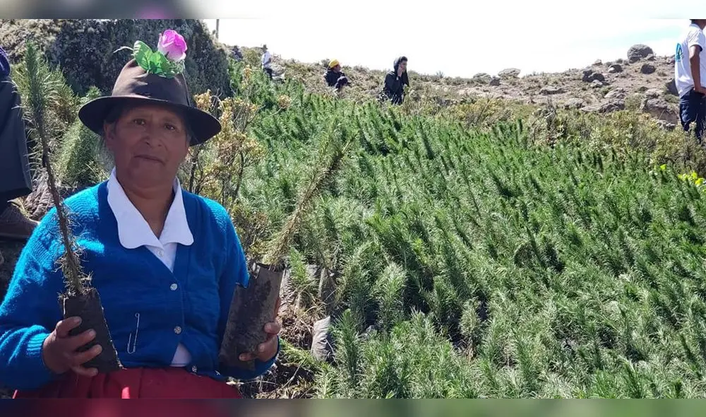 Cumplen meta de sembrar 1 millón de árboles en un día.