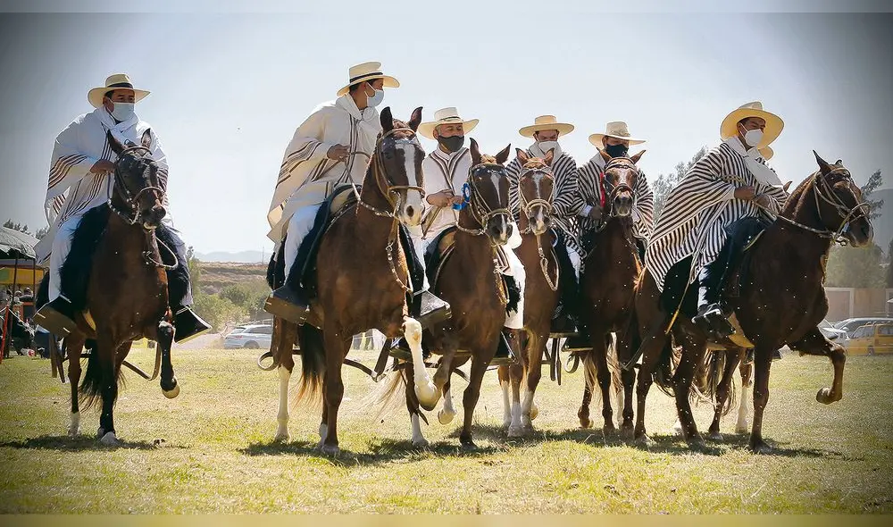 herencia. El caballo de paso tiene el estatus de patrimonio del Perú.