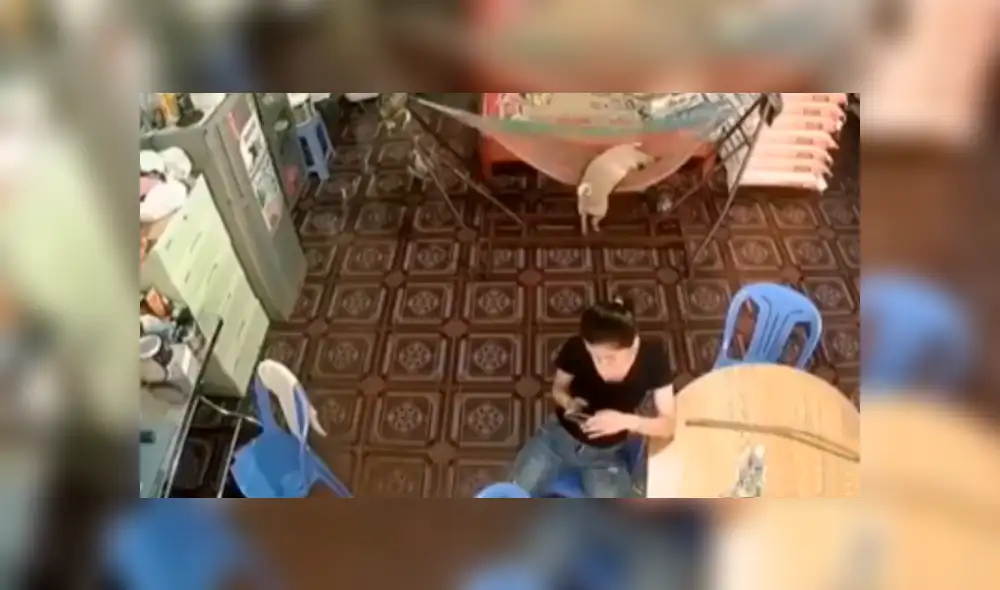 Desliza las imágenes para observar la travesura de un perro que fue registrado por unas cámaras de seguridad. Desliza las imágenes para observar la travesura de un perro que fue registrado por unas cámaras de seguridad.