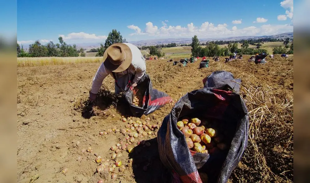 Agricultura Agricultura