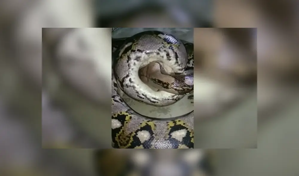 Desliza hacia la izquierda para ver las imágenes del viral de YouTube.