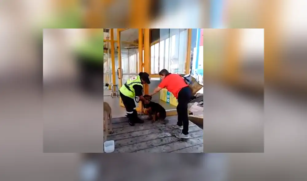 Facebook viral: sereno peruana echa agua a perro sofocado por calor extremo [VIDEO]