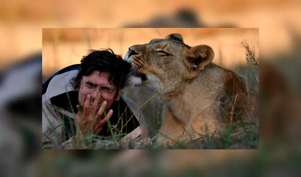 Hombre muere al ser atacado por el león que criaba en su casa [FOTOS Y VIDEO]