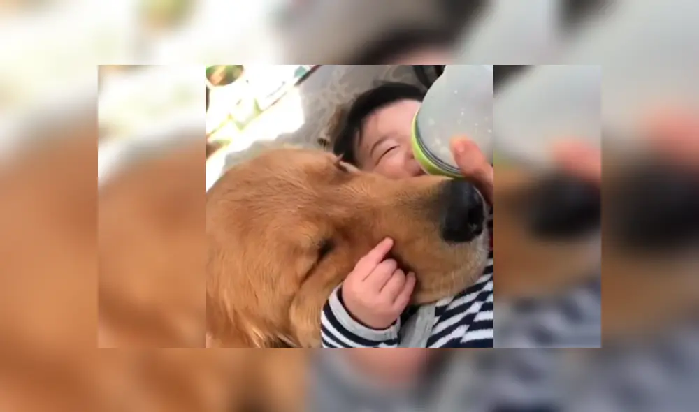 En Facebook, un perro se encargó de cuidar y proteger al bebé de su dueña aprovechando su distracción. En Facebook, un perro se encargó de cuidar y proteger al bebé de su dueña aprovechando su distracción.