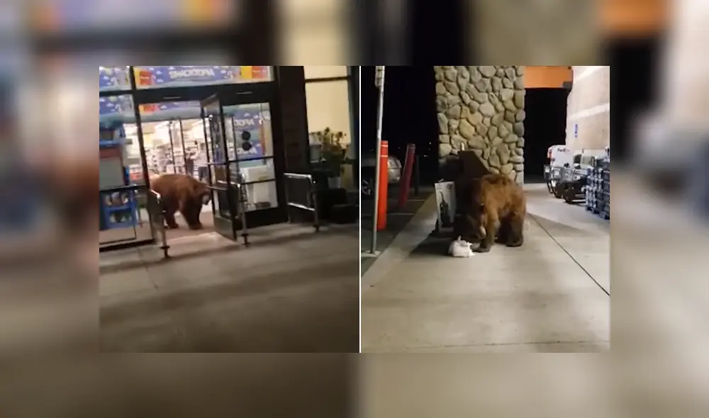 El animal entró al supermercado y terminó llevándose con el una bolsa de papas fritas. Foto: Facebook