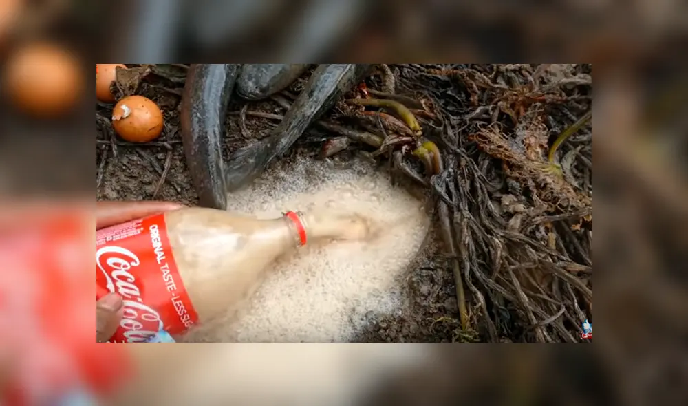 Desliza hacia la izquierda para ver el experimento que se volvió viral en Facebook.