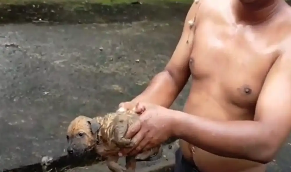 Desliza hacia la izquierda para ver las imágenes del video viral. Foto: captura de Facebook.