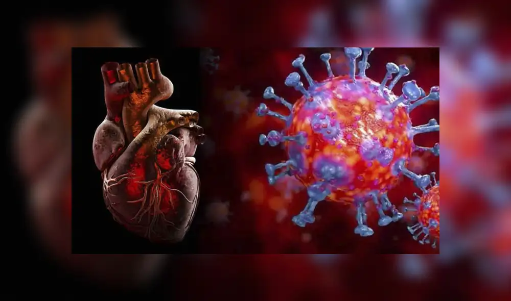 Los nuevos hallazgos indica la necesidad de una investigación continua de las consecuencias cardiovasculares en los pacientes que tuvieron el COVID-19. Foto: referencial.