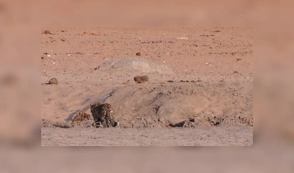 Desliza para ver los momentos más impactantes del video que se hizo viral en YouTube.