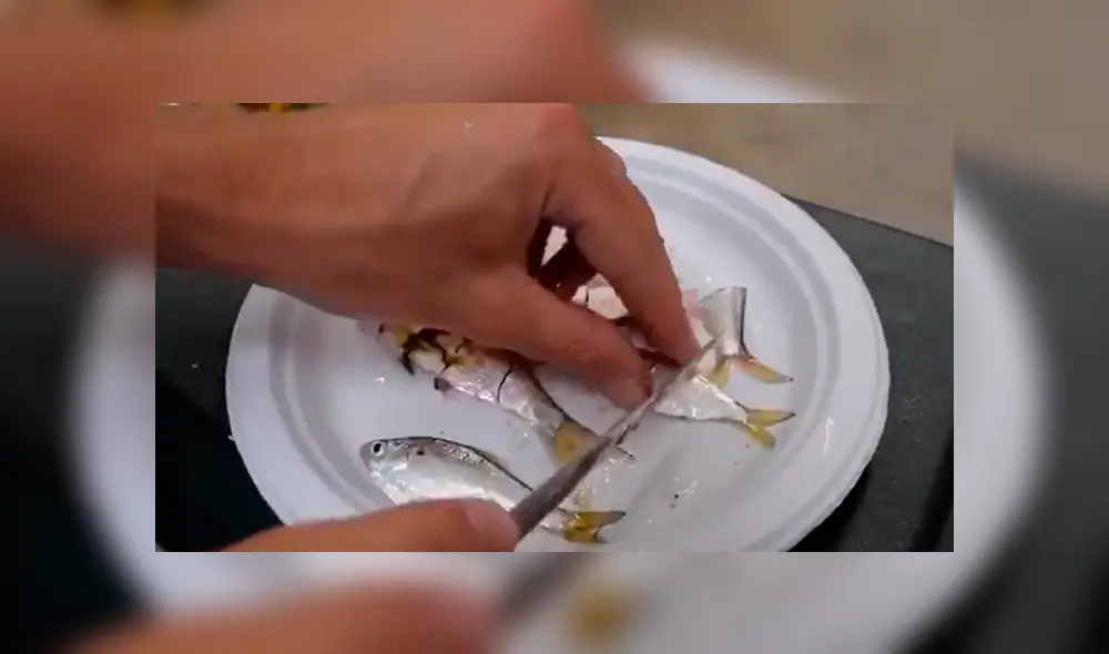 Desliza a la izquierda para ver este nuevo viral de YouTube. Foto: Captura.