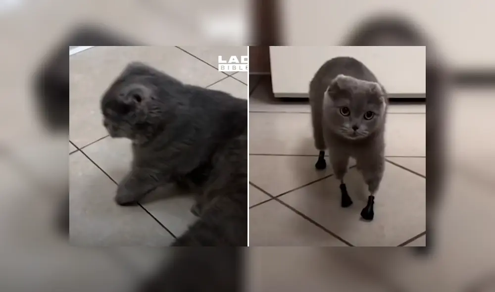 Desliza para ver los momentos más conmovedores de la historia que se hizo viral en Facebook.