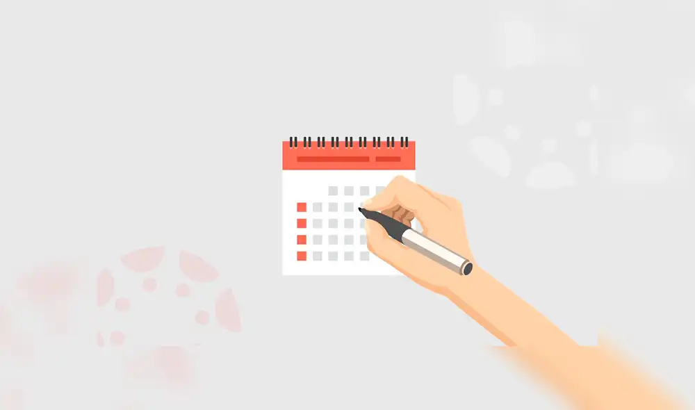 Calendario Laboral de España: ¿Cuáles son los días festivos y puentes por comunidad para este 2019?