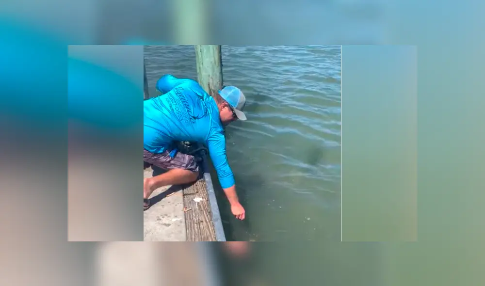El video viral de Facebook registró el momento en que un tiburón emergió del mar para atacar a un pescador. El video viral de Facebook registró el momento en que un tiburón emergió del mar para atacar a un pescador.