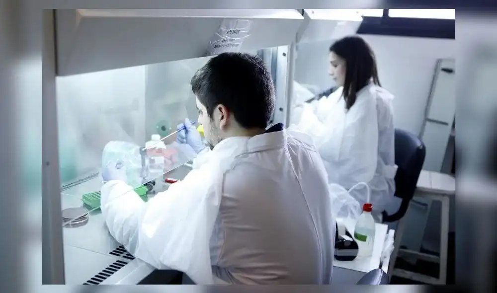 Oportuna medida fue aprobada hoy en sesión virtual del Consejo Directivo, confirmó Concytec. Oportuna medida fue aprobada hoy en sesión virtual del Consejo Directivo, confirmó Concytec.