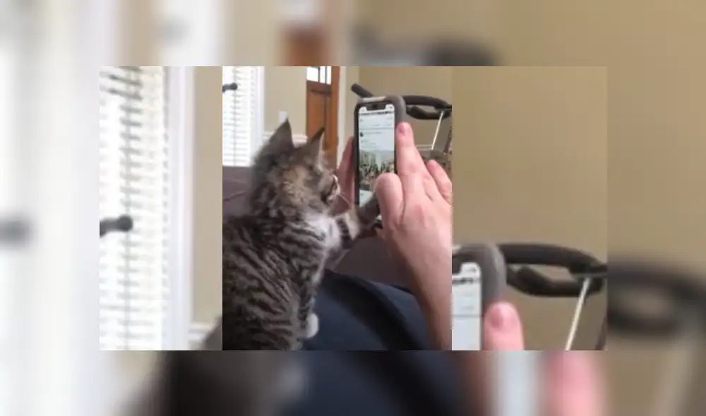 Desliza hacia la izquierda para ver más del video viral. Fotocaptura: YouTube Desliza hacia la izquierda para ver más del video viral. Fotocaptura: YouTube