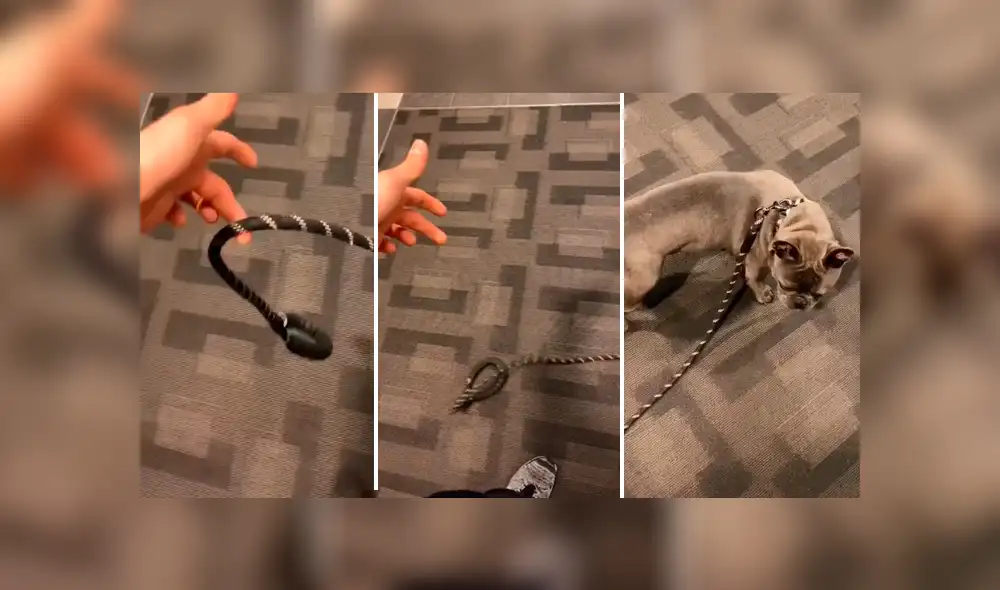 Mira la secuencia deslizando la imagen. Foto: kxam1 / TikTok Mira la secuencia deslizando la imagen. Foto: kxam1 / TikTok