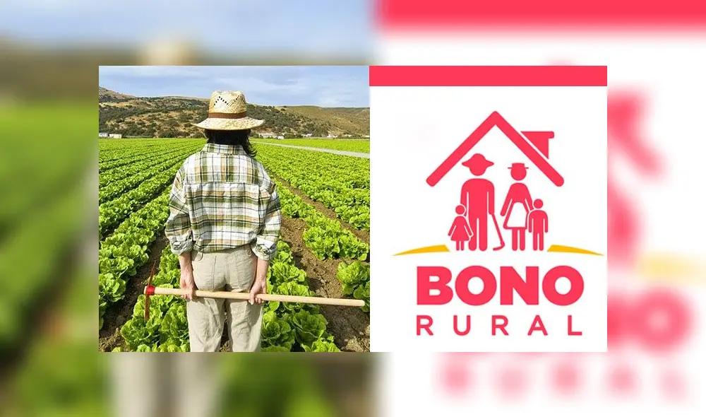 Bono Rural: ¿dónde cobrar los 760 soles? Foto: composición / Esther Vivas y captura. Bono Rural: ¿dónde cobrar los 760 soles? Foto: composición / Esther Vivas y captura.