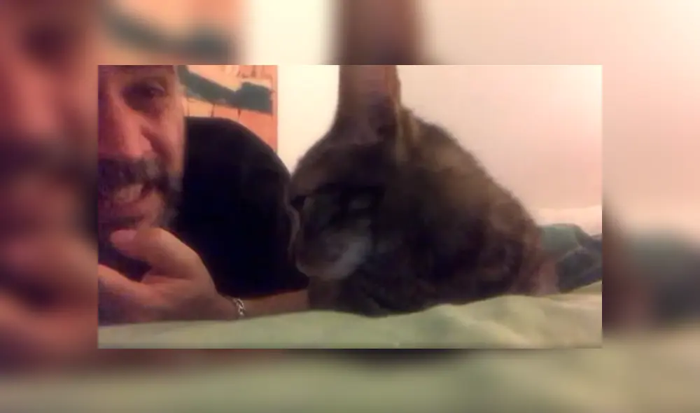 En Facebook, un señor estaba cansado que su gato despierte temprano y le hizo una inesperada súplica. En Facebook, un señor estaba cansado que su gato despierte temprano y le hizo una inesperada súplica.