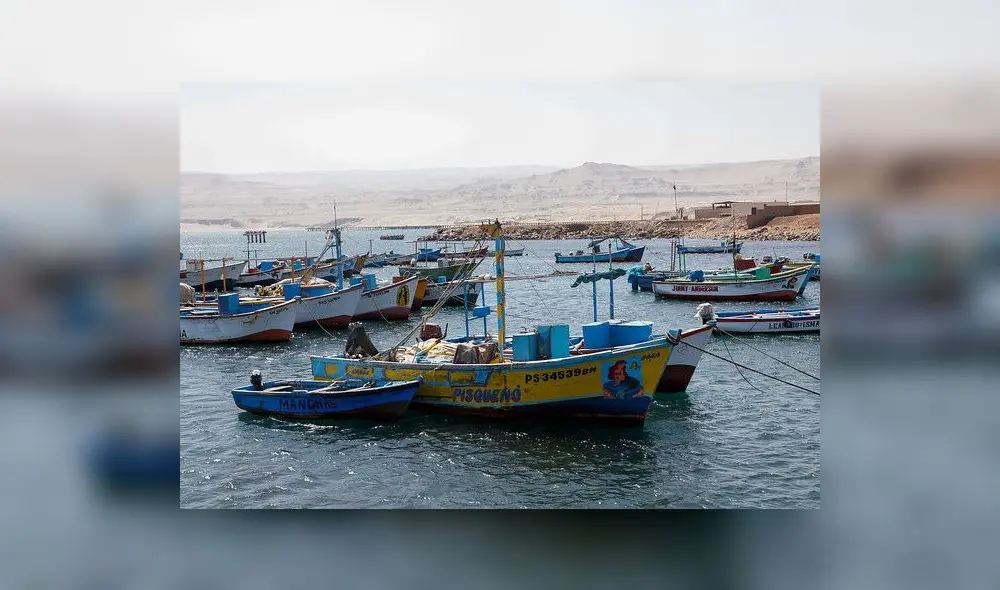 Pesca artesanal Pesca artesanal