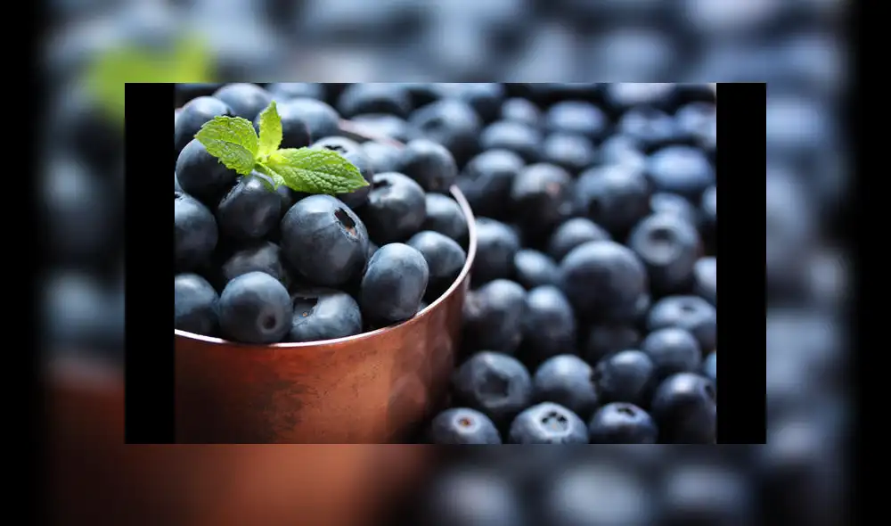 Arándanos seguirá liderando los envíos de la canasta agroexportadora