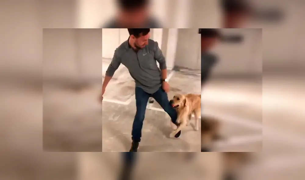 En Facebook, un perro deseaba jugar con su dueño y lo sujetó de la pierna para que no se vaya a trabajar. En Facebook, un perro deseaba jugar con su dueño y lo sujetó de la pierna para que no se vaya a trabajar.