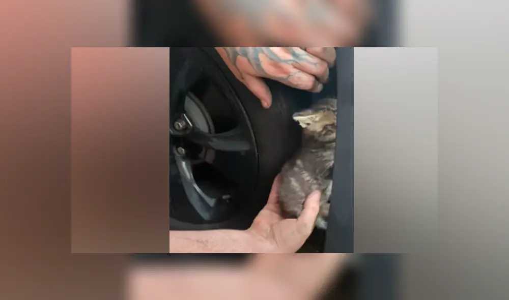 Desliza hacia la izquierda para ver las imágenes del viral de YouTube. Foto: Captura. Desliza hacia la izquierda para ver las imágenes del viral de YouTube. Foto: Captura.