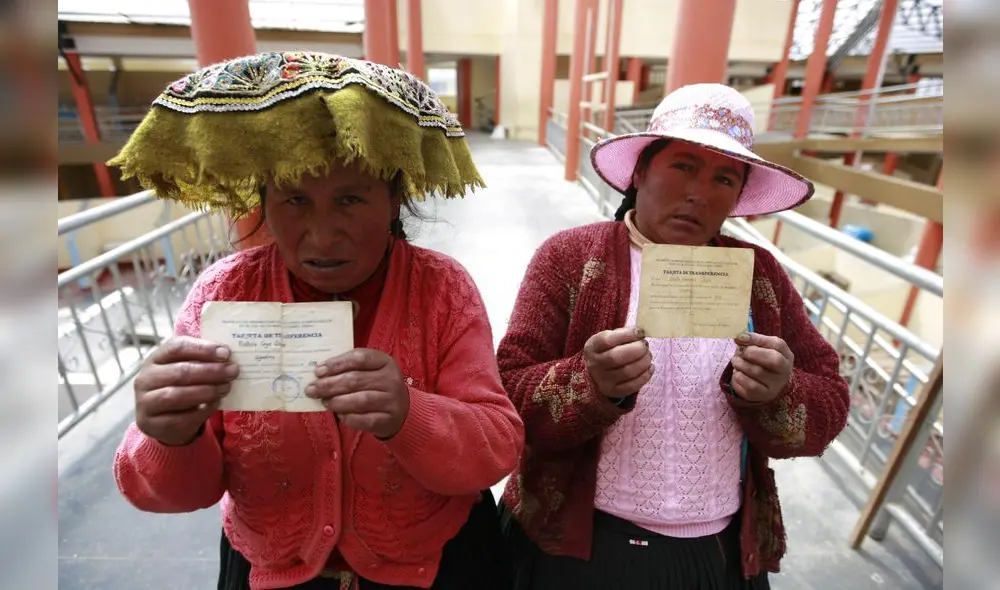 Las buscaban casa por casa, se las llevaban y las esterilizaban Las buscaban casa por casa, se las llevaban y las esterilizaban