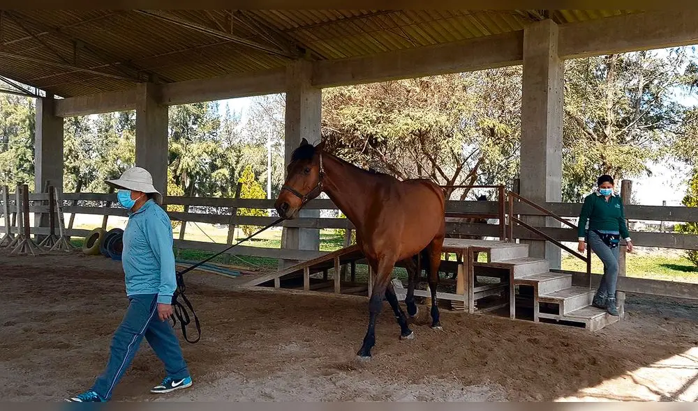 centro esperanza. Tiene su establo en Para Grande, hasta ahí llegan los pacientes para recibir sus terapias de sanación. centro esperanza. Tiene su establo en Para Grande, hasta ahí llegan los pacientes para recibir sus terapias de sanación.