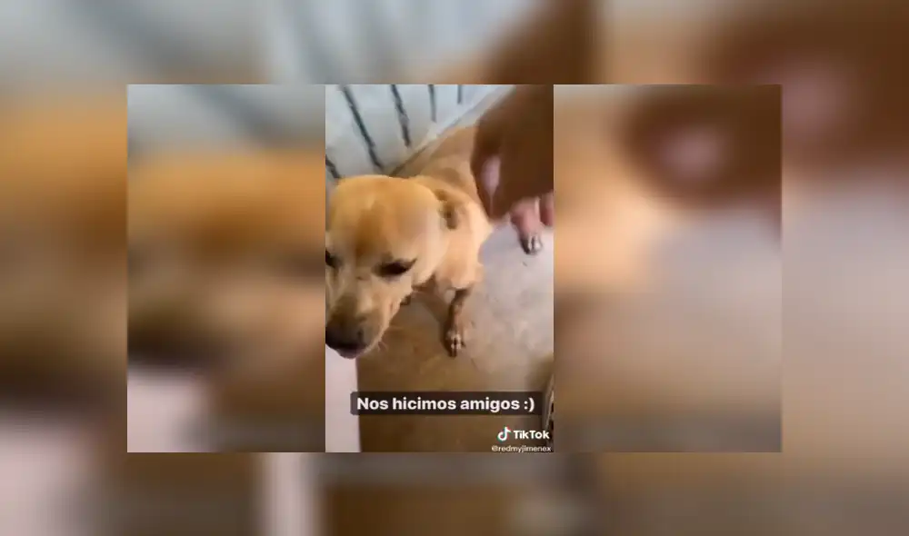 Desliza para ver los detalles del video viral publicado en Facebook. Foto: Captura.