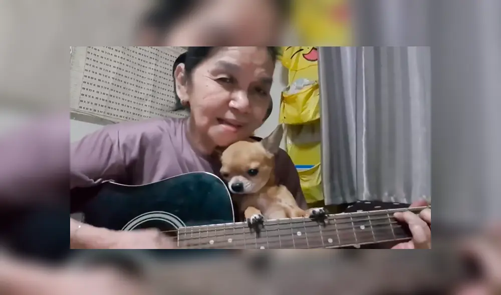 En Facebook, una mujer tocó la canción Hey Jude en una transmisión en vivo para dedicarlo a su tierna mascota. En Facebook, una mujer tocó la canción Hey Jude en una transmisión en vivo para dedicarlo a su tierna mascota.