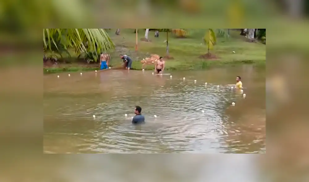 YouTube viral: Entran a pescar y quedan en shock al ver extrañas criaturas en su red [VIDEO]