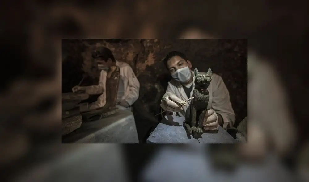 Arqueólogos descubren gatos y escarabajos momificados en necrópolis egipcia [FOTOS]