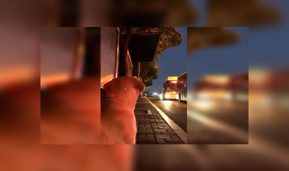 En Facebook, un perro esperaba entusiasmado la llegada de su cuidador y al verlo corría para darle un abrazo. En Facebook, un perro esperaba entusiasmado la llegada de su cuidador y al verlo corría para darle un abrazo.