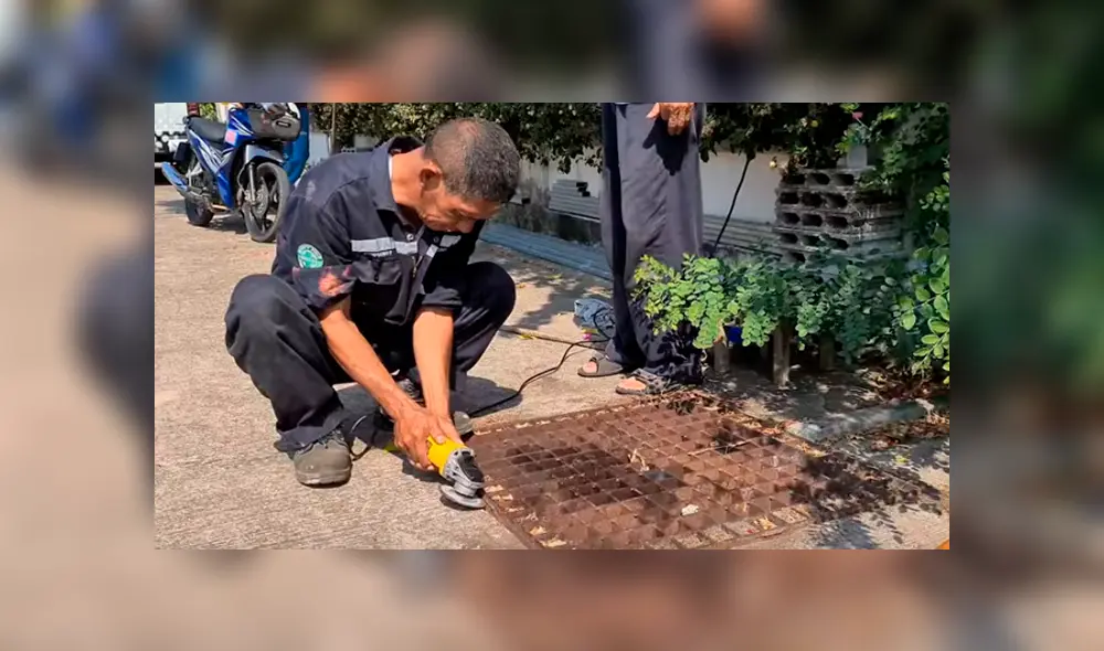 Desliza hacia la izquierda para ver el conmovedor rescate de un perro. Imágenes de YouTube.