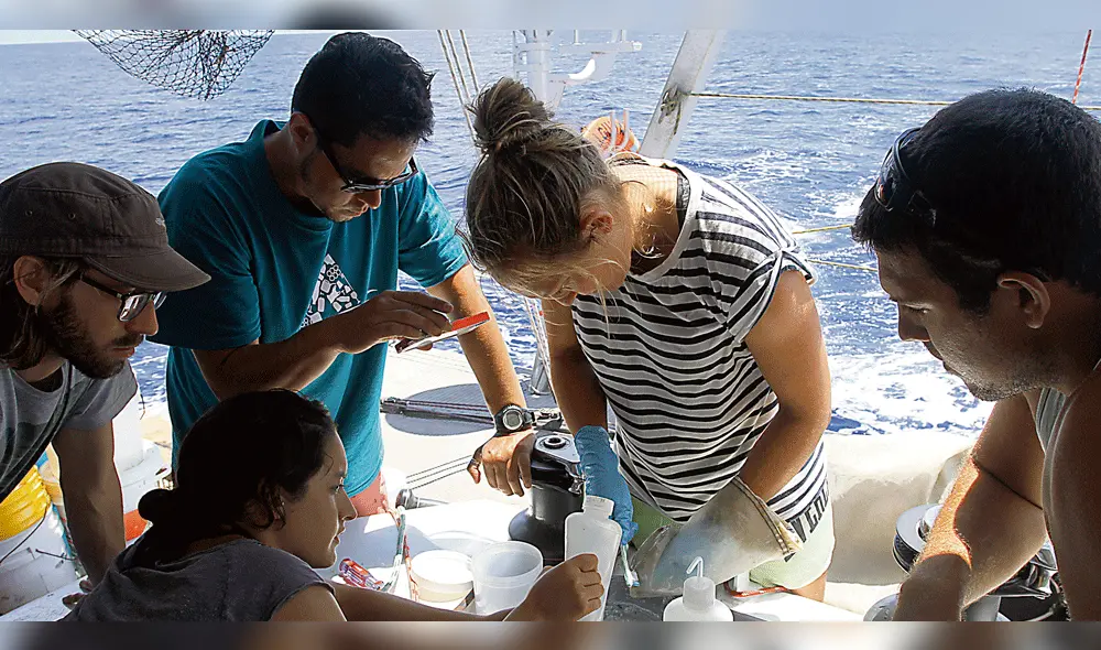 Isla de plástico amenaza la vida marina frente a las costas de Perú y Chile Isla de plástico amenaza la vida marina frente a las costas de Perú y Chile
