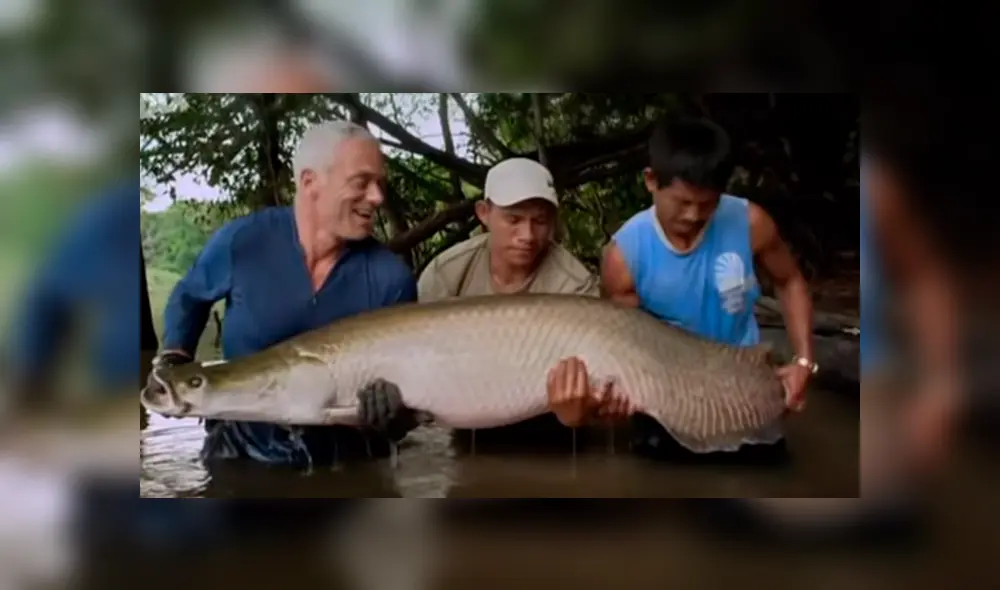 Pescadores ingresan a peligroso río para captura a gigantesco monstruo de río. Pescadores ingresan a peligroso río para captura a gigantesco monstruo de río.