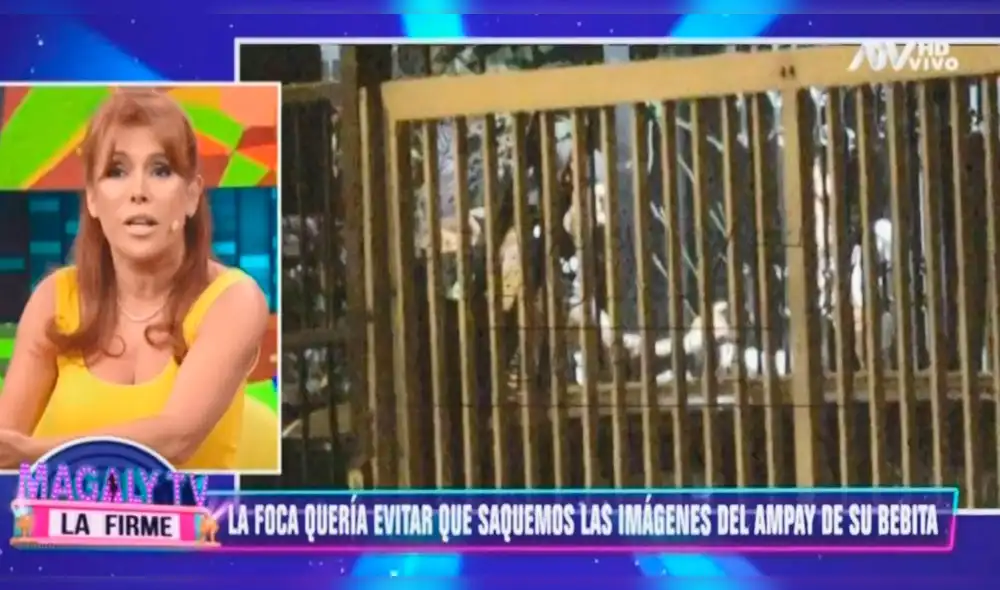 Magaly confesó en vivo que Farfán quiso censurar el ampay de Ivana y Mario