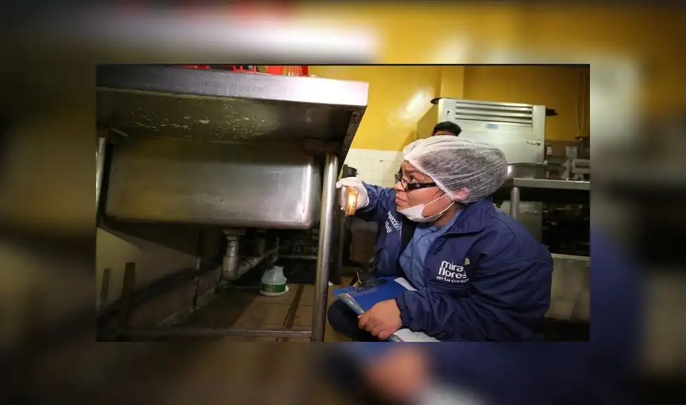 Hallan plagas de insectos en bares y discotecas de Miraflores