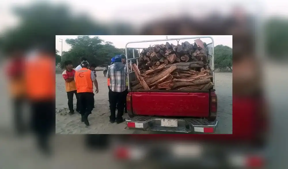 Tráfico de madera en la región Lambayeque.