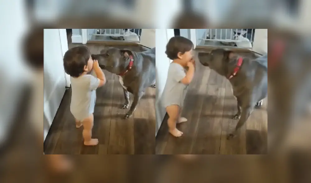 Desliza las imágenes para ver más detalles de esta escena viral de YouTube. Desliza las imágenes para ver más detalles de esta escena viral de YouTube.