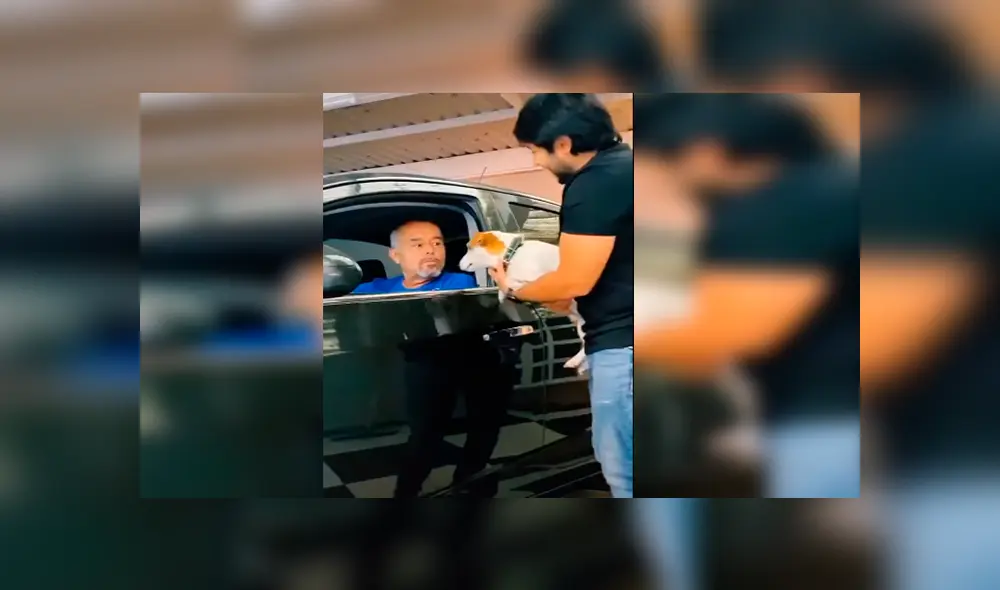 Desliza las imágenes hacia la izquierda para apreciar la verdadera amistad entre un padre y su nueva mascota.