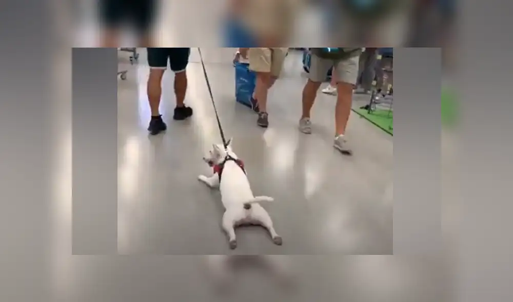 Desliza hacia la izquierda para ver las imágenes del viral de YouTube. Foto: Captura. Desliza hacia la izquierda para ver las imágenes del viral de YouTube. Foto: Captura.